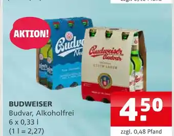 Getränke Quelle Budweiser budweiser Angebot