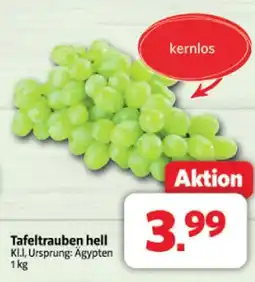 Markant Tafeltrauben hell Angebot
