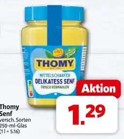 Markant Thomy senf Angebot