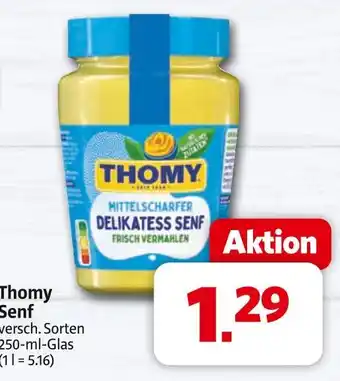 Markant Thomy senf Angebot