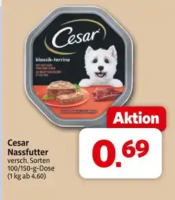 Markant Cesar nassfutter Angebot