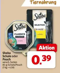 Markant Sheba schale Angebot