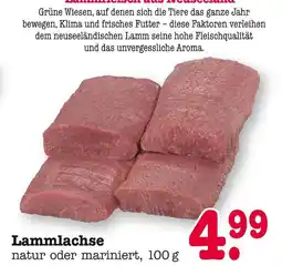 E-Center Lammlachse Angebot