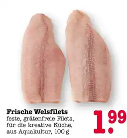 E-Center Frische welsfilets Angebot