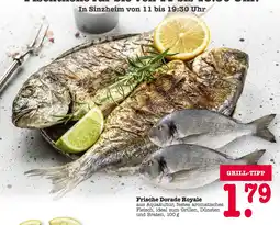 E-Center Frische dorade royale Angebot