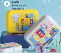 Famila Nord West CANDY L Lunchbox mit Trennschale Angebot