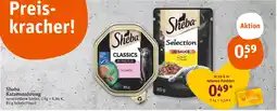 tegut Sheba katzennahrung Angebot