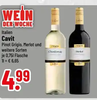 trinkgut Cavit pinot grigio oder merlot Angebot
