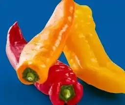 Lidl Spitzpaprika-Mix Angebot