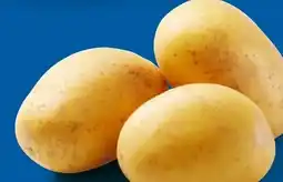 Lidl Speisefrühkartoffeln festkochend Angebot