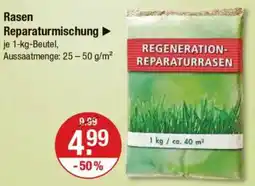 V Markt Rasen Reparaturmischung Angebot