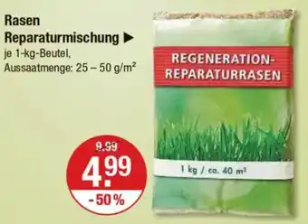 V Markt Rasen Reparaturmischung Angebot