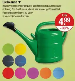 V Markt Gießkanne Angebot