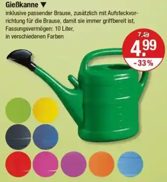 V Markt Gießkanne Angebot