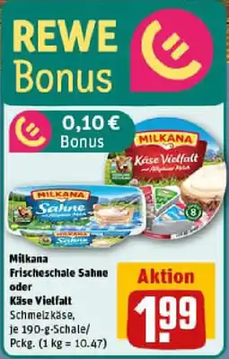 REWE Milkana Frischeschale Sahne oder Käse Vielfalt Angebot