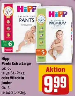 REWE Hipp Pants Extra Large oder Windeln Junior Angebot