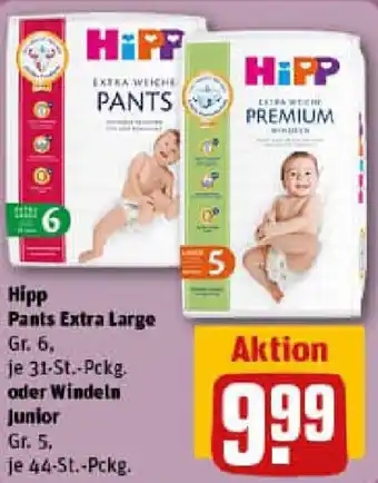 REWE Hipp Pants Extra Large oder Windeln Junior Angebot