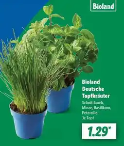 Lidl Bioland Deutsche Topfkräuter Angebot