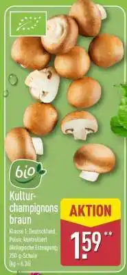 Aldi Nord Kultur- champignons braun Angebot
