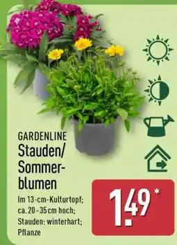 Aldi Nord GARDENLINE Stauden/Sommerblumen Angebot