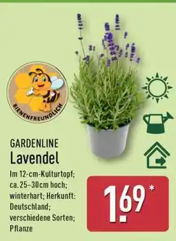 Aldi Nord GARDENLINE Lavendel Angebot