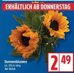 Edeka Sonnenblumen Angebot