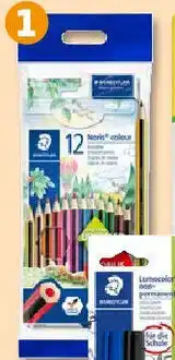 PENNY STAEDTLER Malen, schreiben 12er packung Angebot