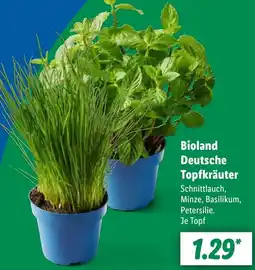 Lidl Bioland Deutsche Topfkräuter Angebot