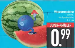 E-Center Wassermelone Angebot