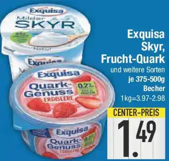 E-Center Exquisa Skyr, Frucht-Quark Angebot