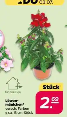 NETTO Löwenmäulchen Angebot