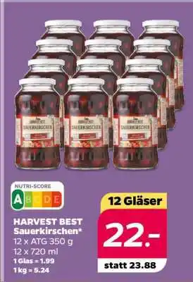 NETTO HARVEST BEST Sauerkirschen Angebot
