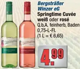 alldrink Bergsträßer Winzer eG Springtime Cuvée weiß oder rosé Angebot