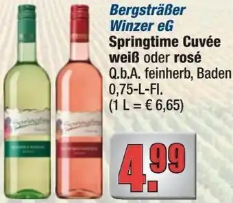 alldrink Bergsträßer Winzer eG Springtime Cuvée weiß oder rosé Angebot