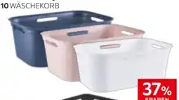 XXXLutz Rotho Wäschekorb Brisen Angebot