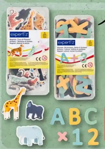 Aldi Nord Expertiz Magnete Angebot