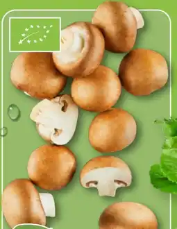 Aldi Nord Bio Smiley Kulturchampignons Angebot