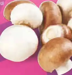 Netto Marken-Discount Riesen-Champignons Angebot
