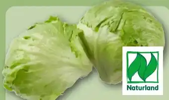 REWE Rewe Bio Bio-Eisbergsalat Angebot