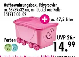 Möbel Boss Aufbewahrungsbox Angebot