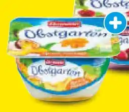 Netto Marken-Discount Ehrmann Obstgarten Pfirsich-Maracuja Angebot