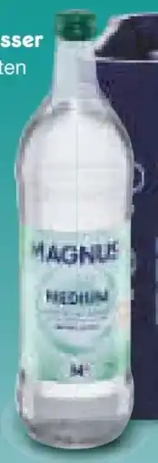 Netto Marken-Discount Margon Mineralwasser Angebot