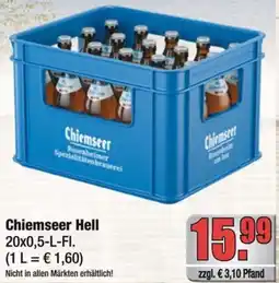 Profi Getränke Chiemseer Hell Angebot