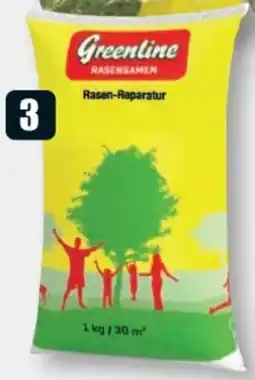 B1 Discount Baumarkt Greenline Rasensamen Rasenreparatur-Set Angebot