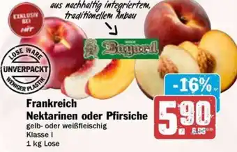 Hit Frankreich Nektarinen oder Pfirsiche Angebot
