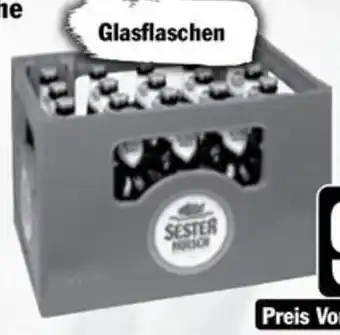 Hit Sester Kölsch Angebot