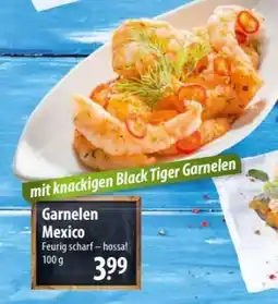 Famila Nord Ost Garnelen Mexico Angebot