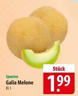 Famila Nord Ost Galia-melone Angebot