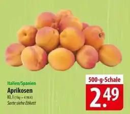 Famila Nord Ost Aprikosen Angebot