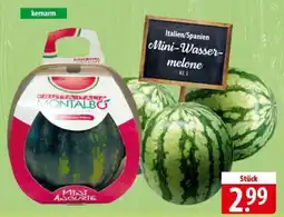 Famila Nord Ost Mini- Wassermelone Angebot